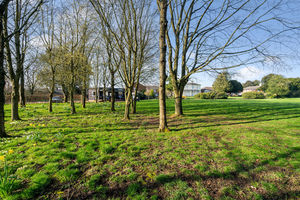 Photo 29- click for photo gallery